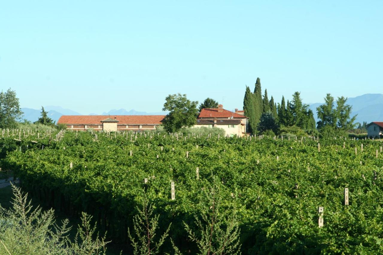 Cà Donzella Lazise Exterior foto